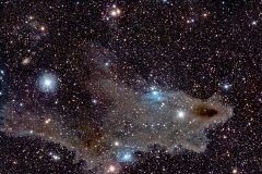 LDN 1235 Dark Shark Nebula - F2 Hyperstarv3 on EdgeHD 11 Asi294mc Pro Lpro Filter