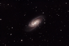 NGC 2903 Galaxy