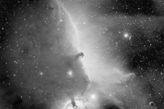 horsehead_110x120sec_Ha_lenhance_hyperstar_12-21_to_22-19crop