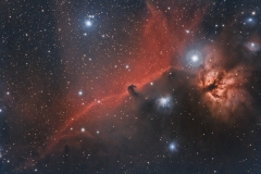 horsehead_f2_-feb2021