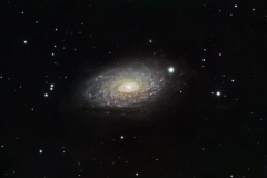 sunflower_galaxy_14.75_hours_data_lpro_180sec_subs_f10-appedit-april-through-early-june-2020-app-edit-plus-pixi-on-JPG-BEST