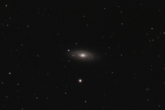 Tigers Eye Galaxy NGC 2841 84mins total at f7 with oag
